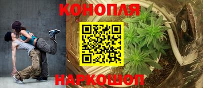 дживик Обь