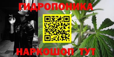 дживик Обь