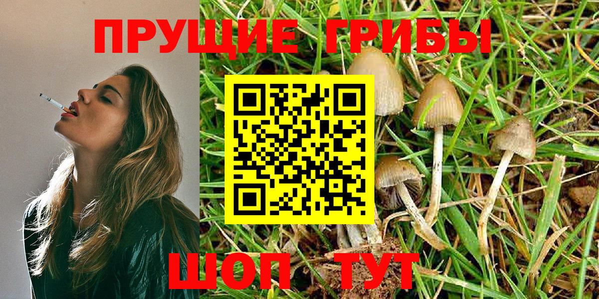 Галлюциногенные грибы Magic Shrooms  Вход с VPN  Сафоново 